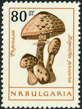 Bulgaria 1961 Fungi-Stamps-Bulgaria-StampPhenom