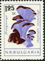 Bulgaria 1961 Fungi-Stamps-Bulgaria-StampPhenom