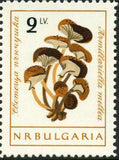 Bulgaria 1961 Fungi-Stamps-Bulgaria-StampPhenom