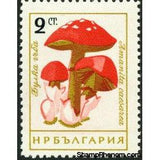 Bulgaria 1961 Fungi-Stamps-Bulgaria-StampPhenom