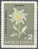 Bulgaria 1963 Scarce Flowers-Stamps-Bulgaria-StampPhenom