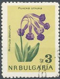 Bulgaria 1963 Scarce Flowers-Stamps-Bulgaria-StampPhenom
