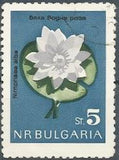 Bulgaria 1963 Scarce Flowers-Stamps-Bulgaria-StampPhenom