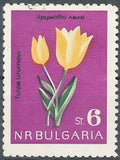Bulgaria 1963 Scarce Flowers-Stamps-Bulgaria-StampPhenom