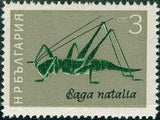 Bulgaria 1964 Insects-Stamps-Bulgaria-StampPhenom