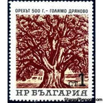 Bulgaria 1964 Old Trees-Stamps-Bulgaria-StampPhenom