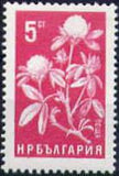 Bulgaria 1965 Agricultural Products-Stamps-Bulgaria-StampPhenom