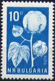 Bulgaria 1965 Agricultural Products-Stamps-Bulgaria-StampPhenom