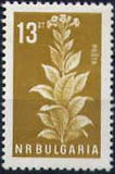 Bulgaria 1965 Agricultural Products-Stamps-Bulgaria-StampPhenom
