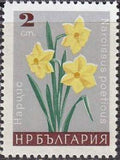 Bulgaria 1966 Garden Flowers-Stamps-Bulgaria-StampPhenom