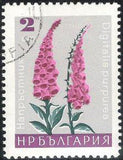 Bulgaria 1966 Garden Flowers-Stamps-Bulgaria-StampPhenom