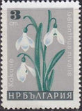 Bulgaria 1966 Garden Flowers-Stamps-Bulgaria-StampPhenom