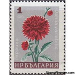 Bulgaria 1966 Garden Flowers-Stamps-Bulgaria-StampPhenom
