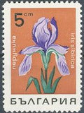 Bulgaria 1968 Flowers-Stamps-Bulgaria-StampPhenom