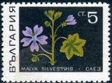 Bulgaria 1969 Medicinal Herbs-Stamps-Bulgaria-StampPhenom