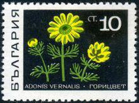 Bulgaria 1969 Medicinal Herbs-Stamps-Bulgaria-StampPhenom