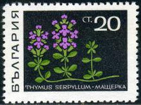 Bulgaria 1969 Medicinal Herbs-Stamps-Bulgaria-StampPhenom