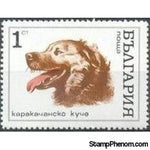 Bulgaria 1970 Dogs-Stamps-Bulgaria-StampPhenom