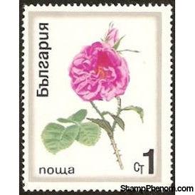 Bulgaria 1970 Roses-Stamps-Bulgaria-StampPhenom