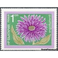 Bulgaria 1974 Garden Flowers-Stamps-Bulgaria-StampPhenom