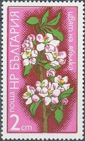 Bulgaria 1975 Fruit-Tree Blossoms-Stamps-Bulgaria-StampPhenom