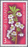 Bulgaria 1975 Fruit-Tree Blossoms-Stamps-Bulgaria-StampPhenom