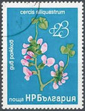 Bulgaria 1976 Plants-Stamps-Bulgaria-StampPhenom