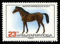 Bulgaria 1980 Horses-Stamps-Bulgaria-StampPhenom