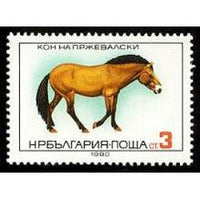 Bulgaria 1980 Horses-Stamps-Bulgaria-StampPhenom