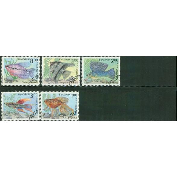 Bulgaria Fishes , 5 stamps - Bulgaria Fishes , 5 stamps