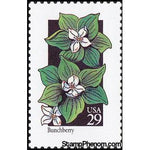 United States of America 1992 Bunchberry (Cornus canadensis)