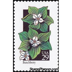 United States of America 1992 Bunchberry (Cornus canadensis)