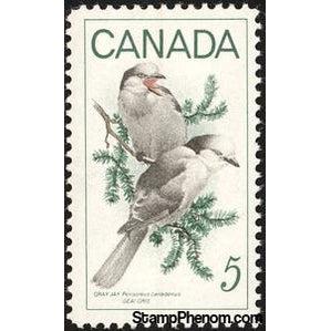 Canada 1968 Grey Jay (Perisoreus canadensis)-Stamps-Canada-Mint-StampPhenom