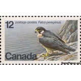 Canada 1978 Endangered Wildlife : Peregrine Falcon (Falco peregrinus).-Stamps-Canada-Mint-StampPhenom