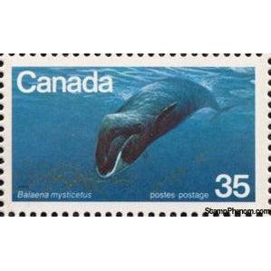 Canada 1979 Bowhead Whale (Balaena mysticetus)-Stamps-Canada-Mint-StampPhenom