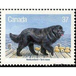 Canada 1988 Newfoundland Dog (Canis lupus familiaris)-Stamps-Canada-Mint-StampPhenom