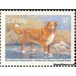 Canada 1988 Nova Scotia Duck Tolling Retriever (Canis lupus familiaris)-Stamps-Canada-Mint-StampPhenom