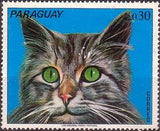 Paraguay 1973 Cats