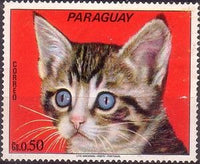 Paraguay 1973 Cats