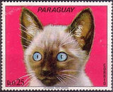 Paraguay 1973 Cats