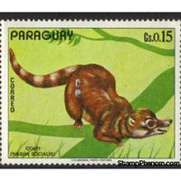 Paraguay 1972 Coati (Nasua socialis)