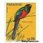 Paraguay 1973 Collared Trogon (Trogon collaris)