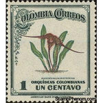 Colombia 1947 Orchids-Stamps-Colombia-StampPhenom