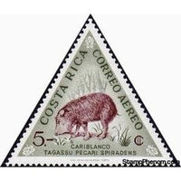 Costa Rica 1963 Peccary (Pecari sp.)-Stamps-Costa Rica-Mint-StampPhenom