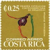 Costa Rica 1975 Masdevallia ephippium-Stamps-Costa Rica-Mint-StampPhenom