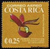 Costa Rica 1975 Mormodes buccinator-Stamps-Costa Rica-Mint-StampPhenom