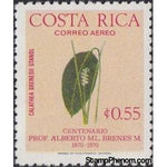 Costa Rica 1976 Calathea brenesi-Stamps-Costa Rica-Mint-StampPhenom