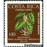 Costa Rica 1976 Philodendron brenesi-Stamps-Costa Rica-Mint-StampPhenom