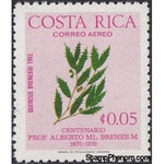 Costa Rica 1976 Quercus brenessi-Stamps-Costa Rica-Mint-StampPhenom