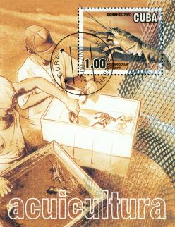 Cuba 2001 Acuicultura Souvenir Sheet